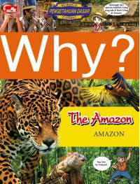 Why? The Amazon = Amazon