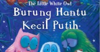 Burung Hantu Kecil Putih