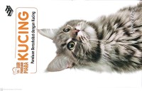Image of Seri Panduan Piara Kucing : Panduan Bersahabat dengan Kucing