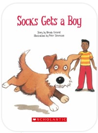 Socks Get a Boy